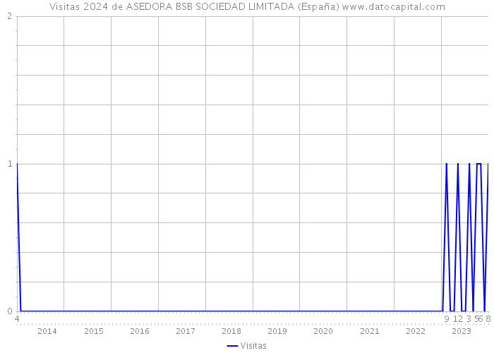 Visitas 2024 de ASEDORA BSB SOCIEDAD LIMITADA (España) 
