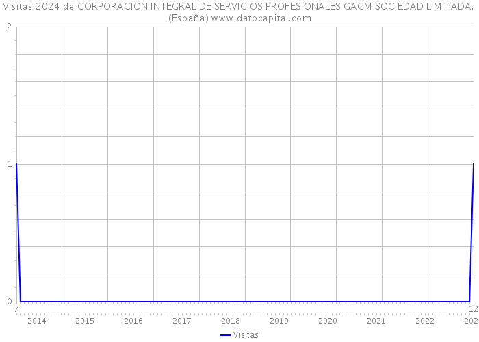 Visitas 2024 de CORPORACION INTEGRAL DE SERVICIOS PROFESIONALES GAGM SOCIEDAD LIMITADA. (España) 
