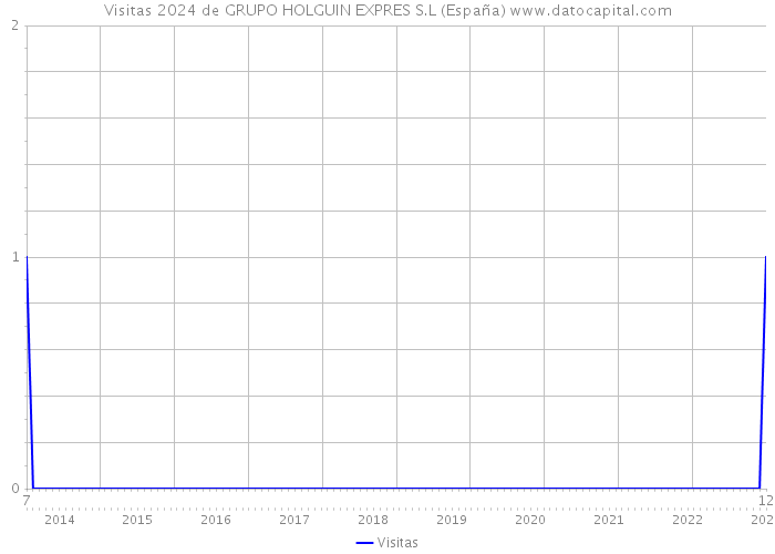 Visitas 2024 de GRUPO HOLGUIN EXPRES S.L (España) 
