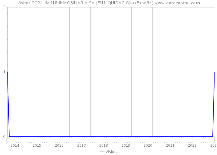 Visitas 2024 de N B INMOBILIARIA SA (EN LIQUIDACION) (España) 