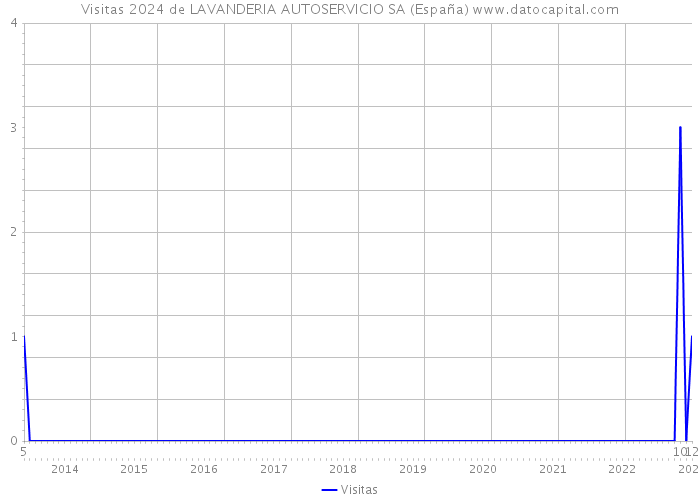 Visitas 2024 de LAVANDERIA AUTOSERVICIO SA (España) 
