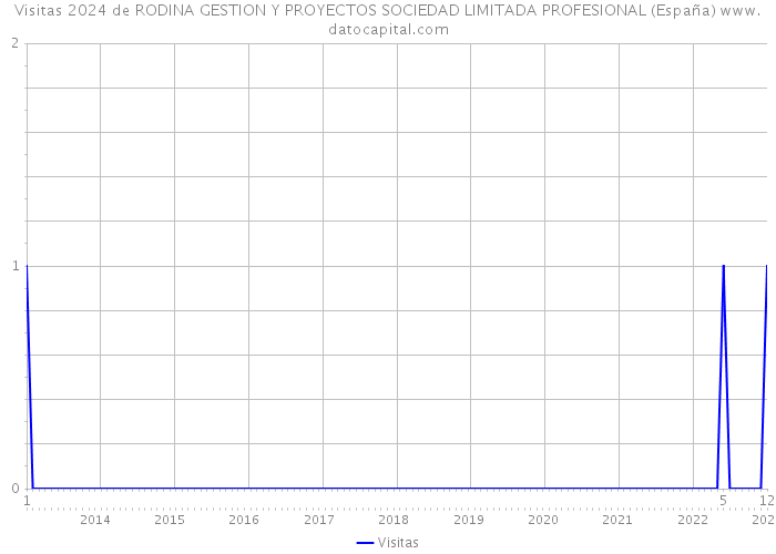 Visitas 2024 de RODINA GESTION Y PROYECTOS SOCIEDAD LIMITADA PROFESIONAL (España) 