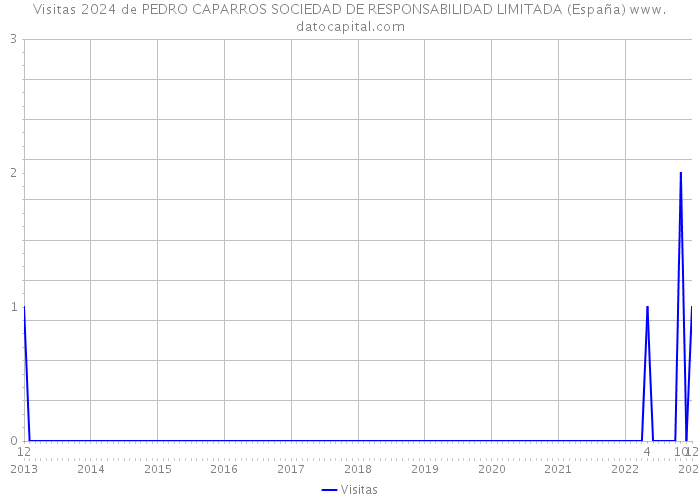 Visitas 2024 de PEDRO CAPARROS SOCIEDAD DE RESPONSABILIDAD LIMITADA (España) 