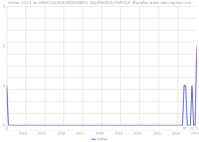 Visitas 2024 de INMACULADA MESONERO VILLANUEVA FABIOLA (España) 