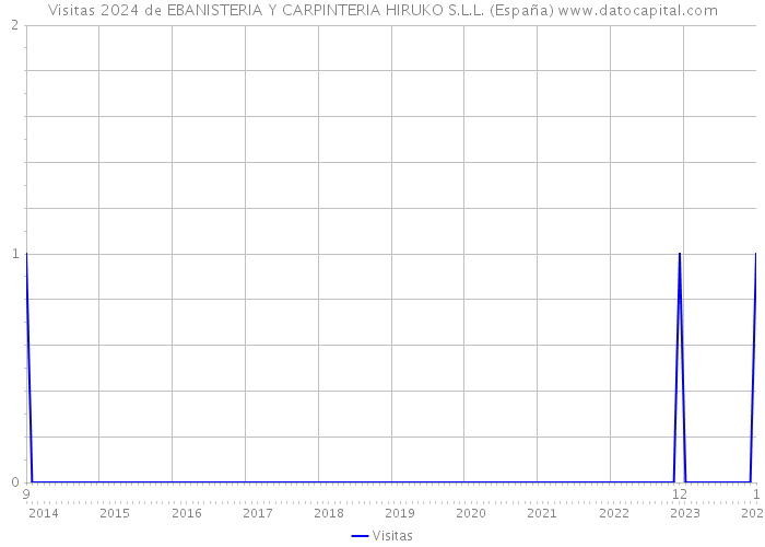 Visitas 2024 de EBANISTERIA Y CARPINTERIA HIRUKO S.L.L. (España) 
