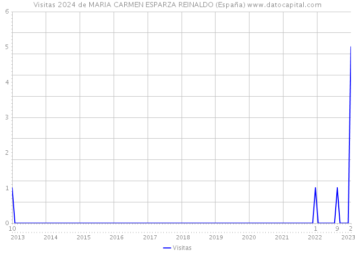 Visitas 2024 de MARIA CARMEN ESPARZA REINALDO (España) 