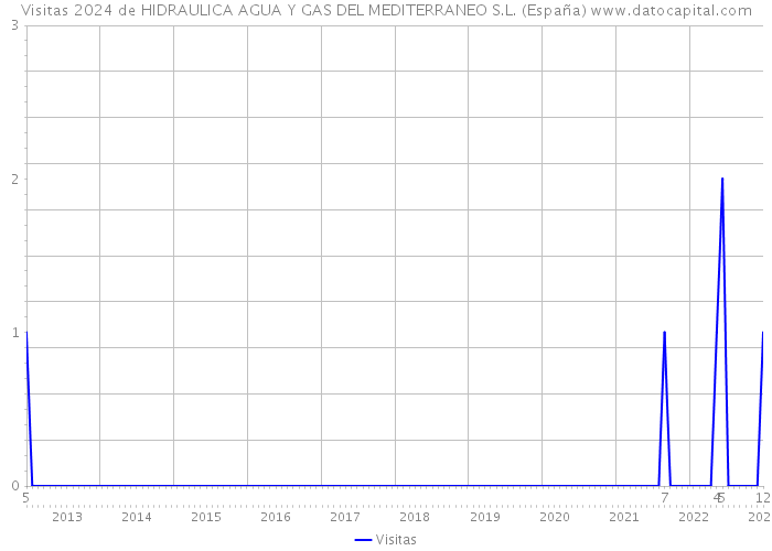 Visitas 2024 de HIDRAULICA AGUA Y GAS DEL MEDITERRANEO S.L. (España) 