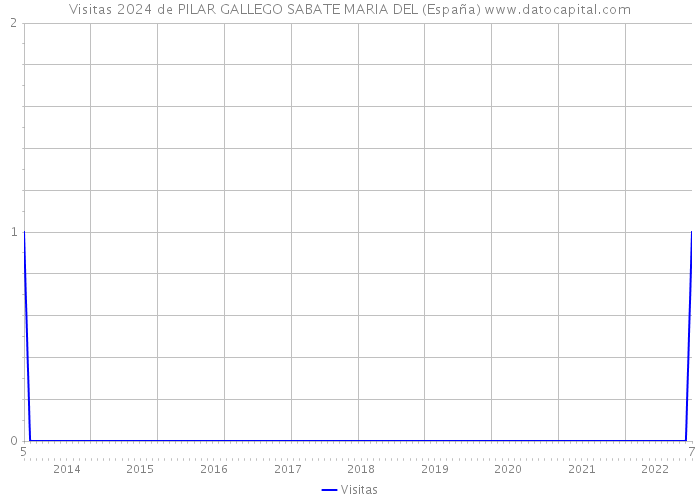 Visitas 2024 de PILAR GALLEGO SABATE MARIA DEL (España) 