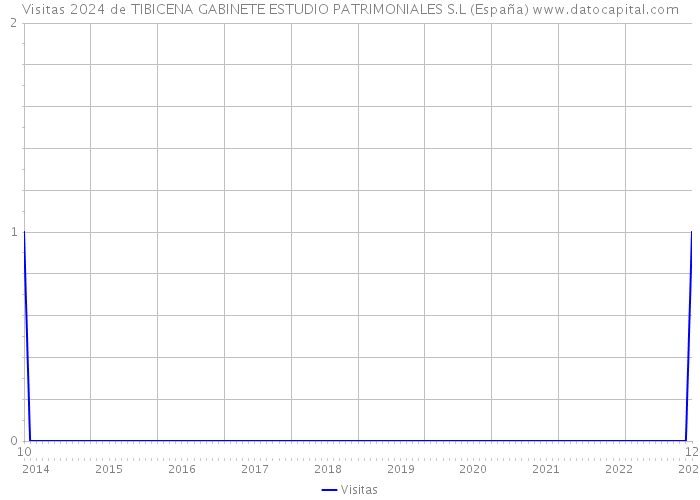 Visitas 2024 de TIBICENA GABINETE ESTUDIO PATRIMONIALES S.L (España) 