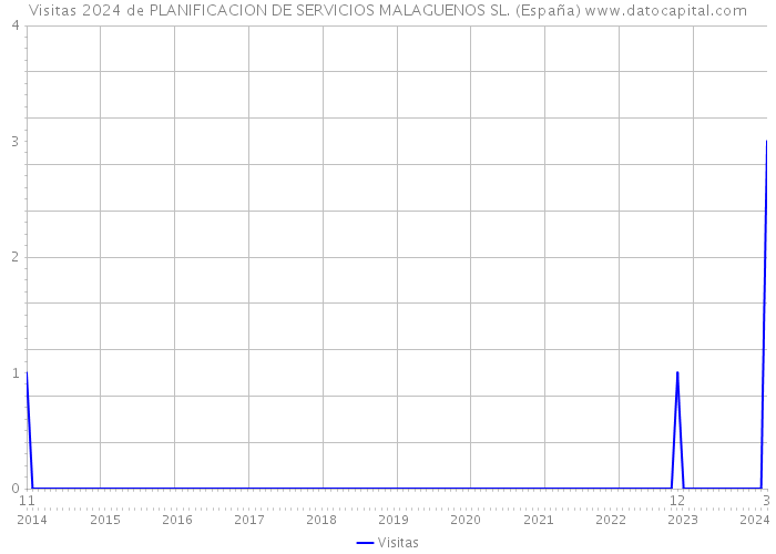Visitas 2024 de PLANIFICACION DE SERVICIOS MALAGUENOS SL. (España) 