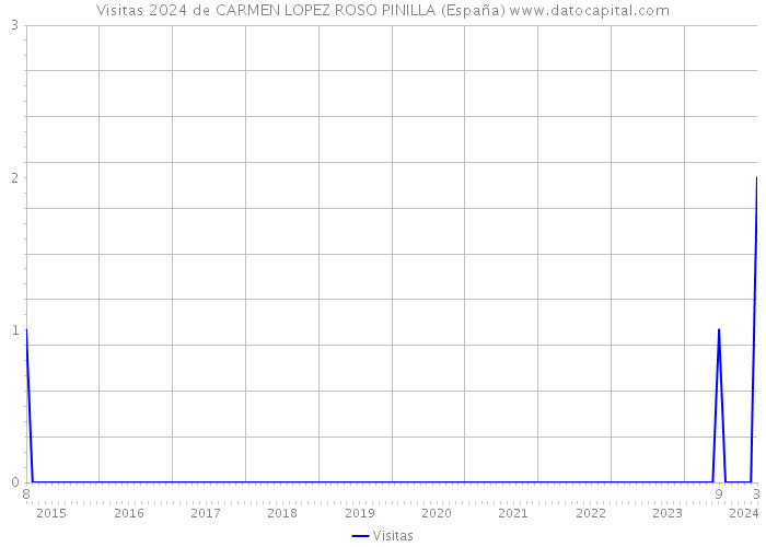 Visitas 2024 de CARMEN LOPEZ ROSO PINILLA (España) 