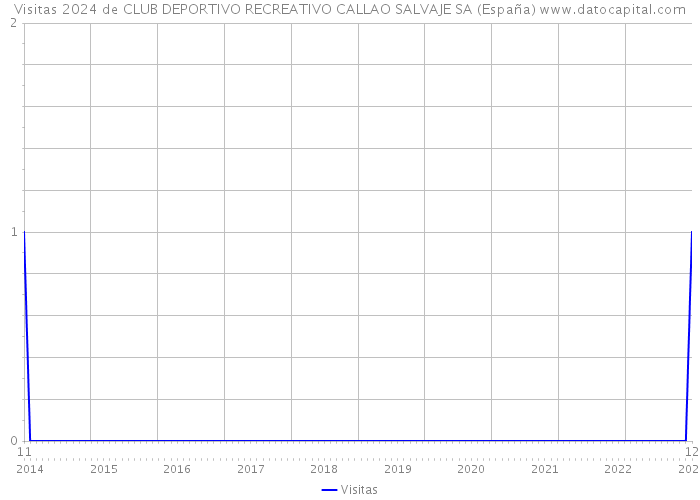 Visitas 2024 de CLUB DEPORTIVO RECREATIVO CALLAO SALVAJE SA (España) 