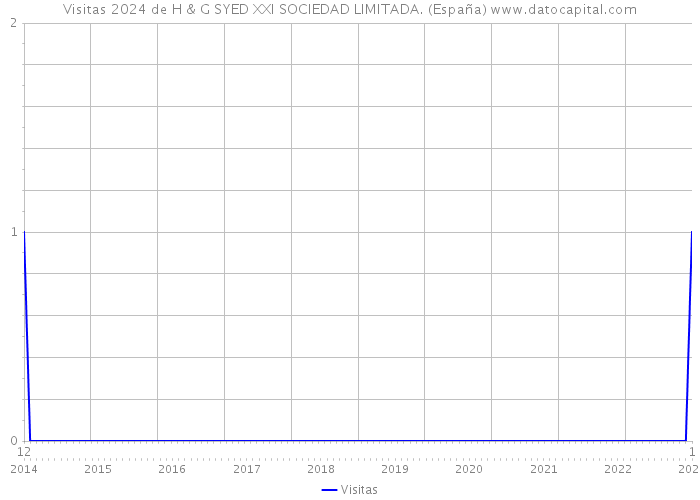 Visitas 2024 de H & G SYED XXI SOCIEDAD LIMITADA. (España) 