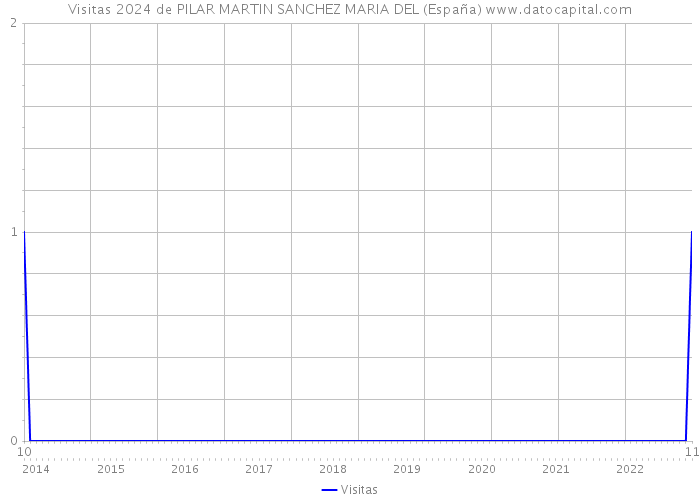 Visitas 2024 de PILAR MARTIN SANCHEZ MARIA DEL (España) 