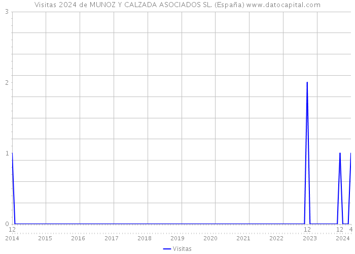 Visitas 2024 de MUNOZ Y CALZADA ASOCIADOS SL. (España) 