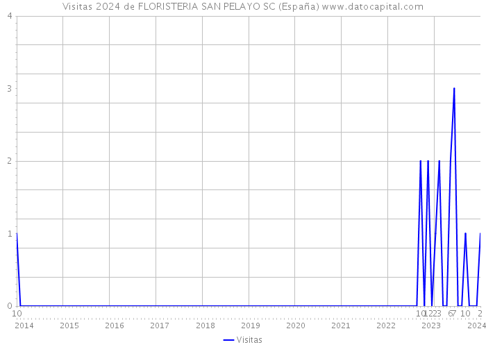 Visitas 2024 de FLORISTERIA SAN PELAYO SC (España) 