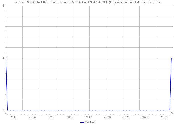 Visitas 2024 de PINO CABRERA SILVERA LAUREANA DEL (España) 