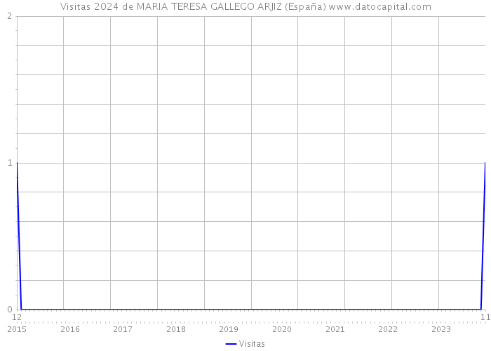 Visitas 2024 de MARIA TERESA GALLEGO ARJIZ (España) 