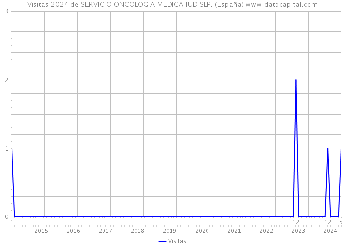 Visitas 2024 de SERVICIO ONCOLOGIA MEDICA IUD SLP. (España) 