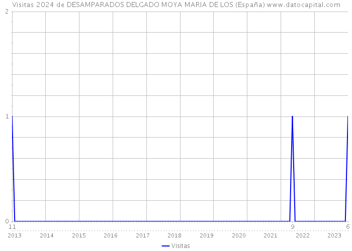 Visitas 2024 de DESAMPARADOS DELGADO MOYA MARIA DE LOS (España) 