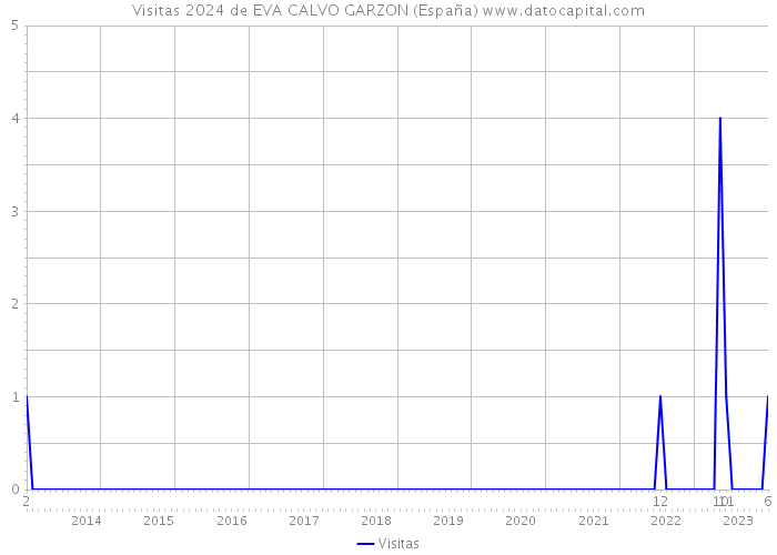 Visitas 2024 de EVA CALVO GARZON (España) 