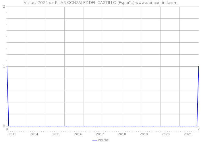 Visitas 2024 de PILAR GONZALEZ DEL CASTILLO (España) 
