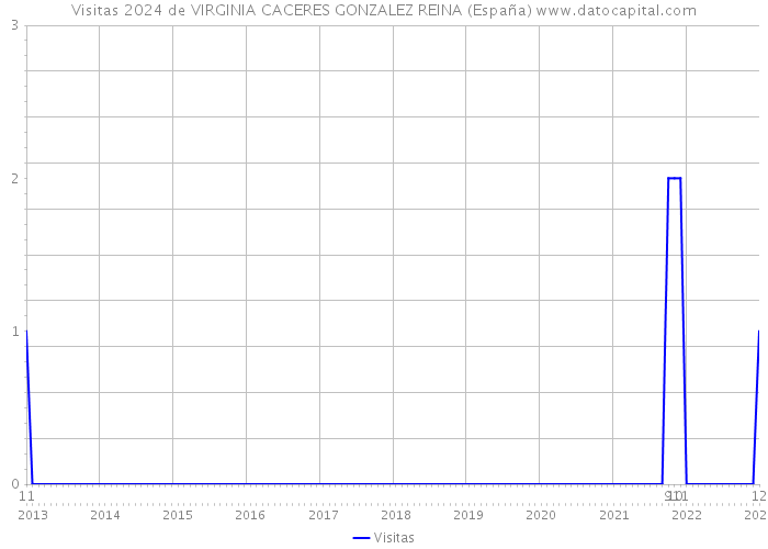 Visitas 2024 de VIRGINIA CACERES GONZALEZ REINA (España) 
