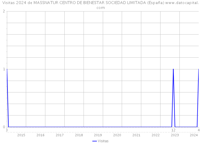 Visitas 2024 de MASSNATUR CENTRO DE BIENESTAR SOCIEDAD LIMITADA (España) 
