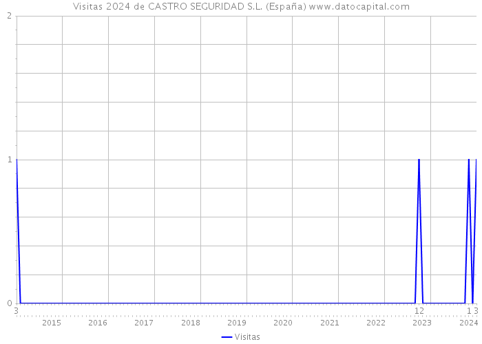 Visitas 2024 de CASTRO SEGURIDAD S.L. (España) 