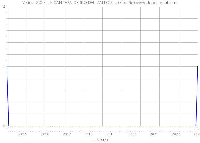 Visitas 2024 de CANTERA CERRO DEL GALLO S.L. (España) 
