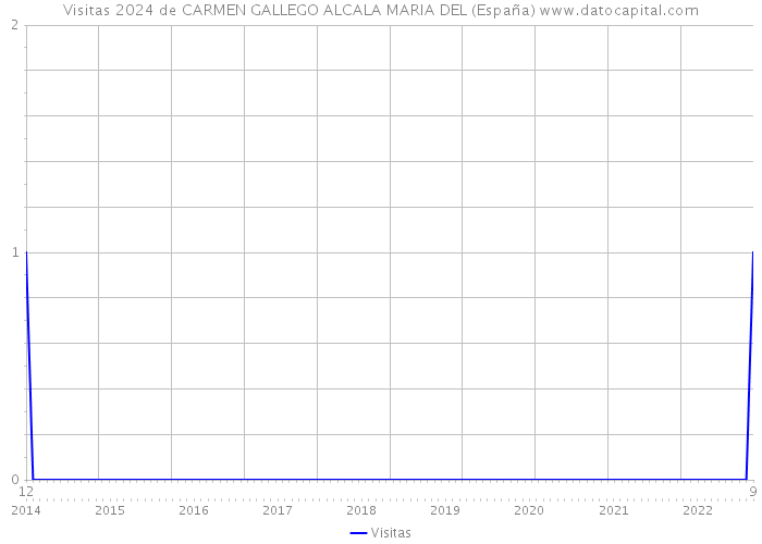 Visitas 2024 de CARMEN GALLEGO ALCALA MARIA DEL (España) 