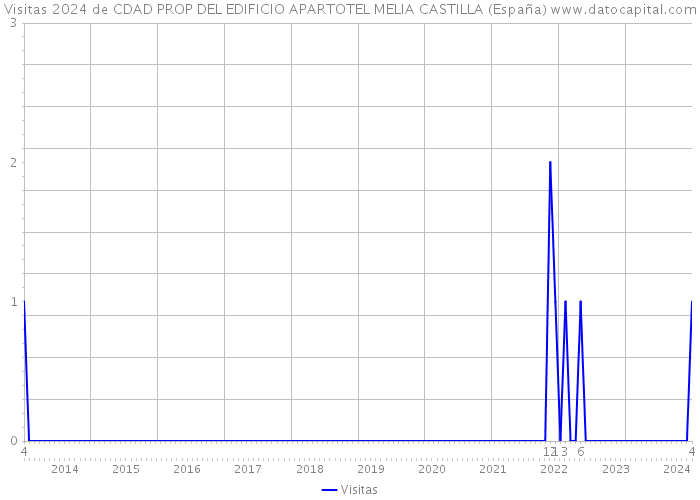 Visitas 2024 de CDAD PROP DEL EDIFICIO APARTOTEL MELIA CASTILLA (España) 