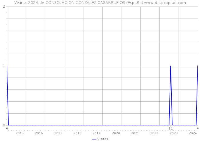 Visitas 2024 de CONSOLACION GONZALEZ CASARRUBIOS (España) 