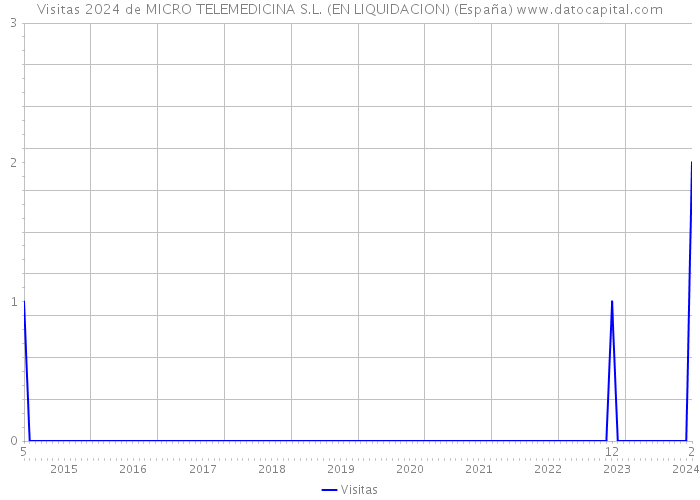Visitas 2024 de MICRO TELEMEDICINA S.L. (EN LIQUIDACION) (España) 