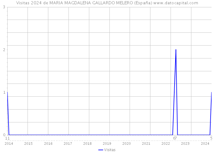 Visitas 2024 de MARIA MAGDALENA GALLARDO MELERO (España) 
