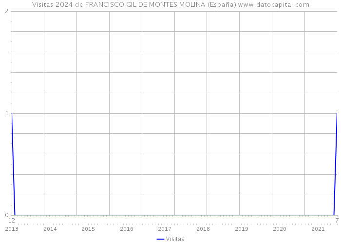 Visitas 2024 de FRANCISCO GIL DE MONTES MOLINA (España) 