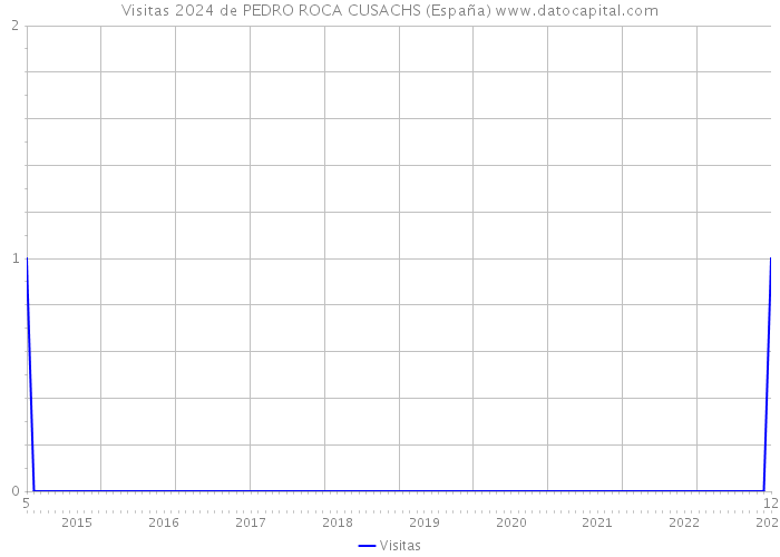 Visitas 2024 de PEDRO ROCA CUSACHS (España) 