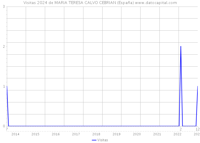 Visitas 2024 de MARIA TERESA CALVO CEBRIAN (España) 
