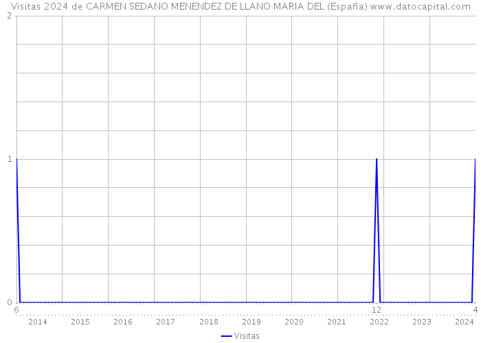Visitas 2024 de CARMEN SEDANO MENENDEZ DE LLANO MARIA DEL (España) 
