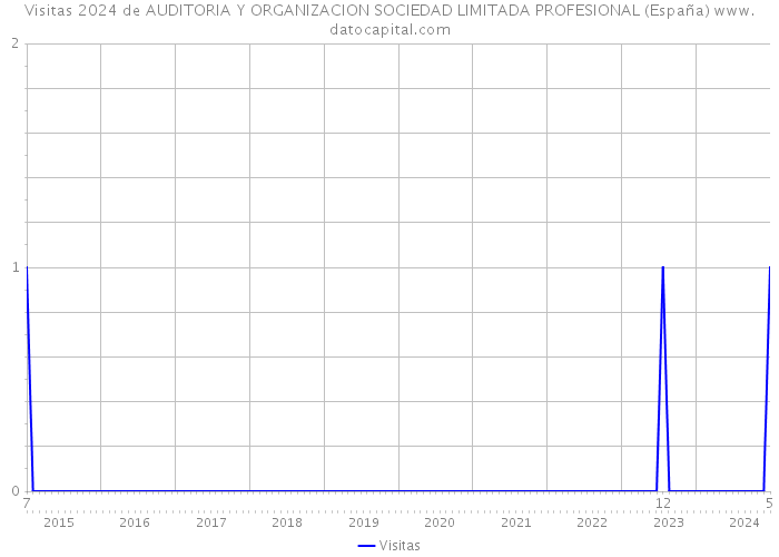 Visitas 2024 de AUDITORIA Y ORGANIZACION SOCIEDAD LIMITADA PROFESIONAL (España) 