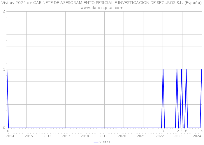 Visitas 2024 de GABINETE DE ASESORAMIENTO PERICIAL E INVESTIGACION DE SEGUROS S.L. (España) 