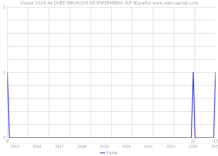 Visitas 2024 de DUES SERVICIOS DE ENFERMERIA SLP (España) 