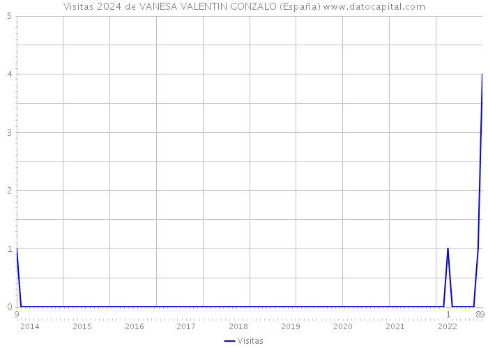 Visitas 2024 de VANESA VALENTIN GONZALO (España) 