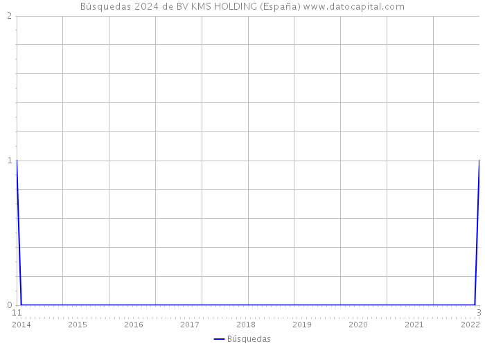 Búsquedas 2024 de BV KMS HOLDING (España) 