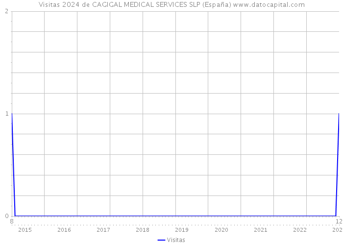 Visitas 2024 de CAGIGAL MEDICAL SERVICES SLP (España) 