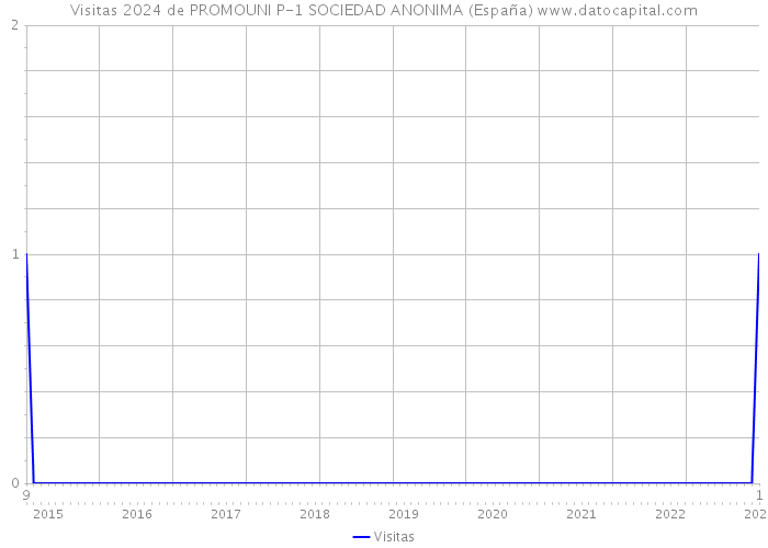 Visitas 2024 de PROMOUNI P-1 SOCIEDAD ANONIMA (España) 
