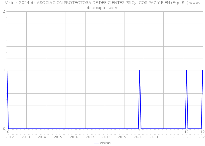 Visitas 2024 de ASOCIACION PROTECTORA DE DEFICIENTES PSIQUICOS PAZ Y BIEN (España) 