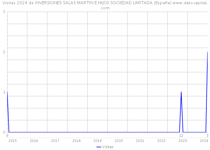Visitas 2024 de INVERSIONES SALAS MARTIN E HIJOS SOCIEDAD LIMITADA (España) 