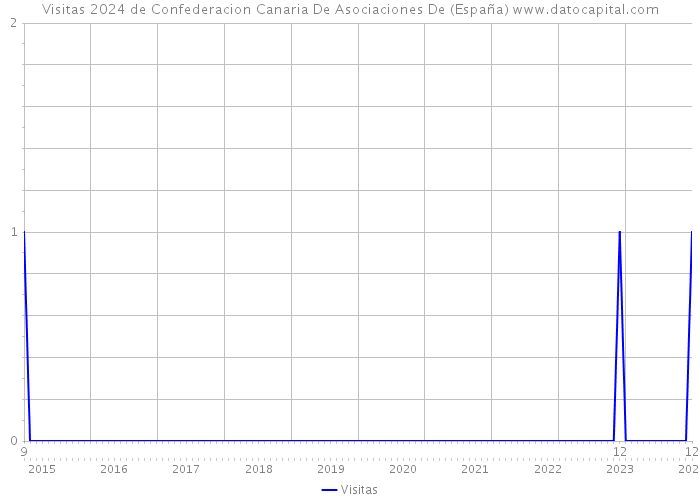 Visitas 2024 de Confederacion Canaria De Asociaciones De (España) 
