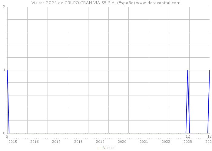 Visitas 2024 de GRUPO GRAN VIA 55 S.A. (España) 